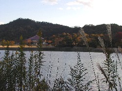 kibogaokapark.jpg